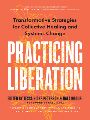 cover image of Practicing Liberation